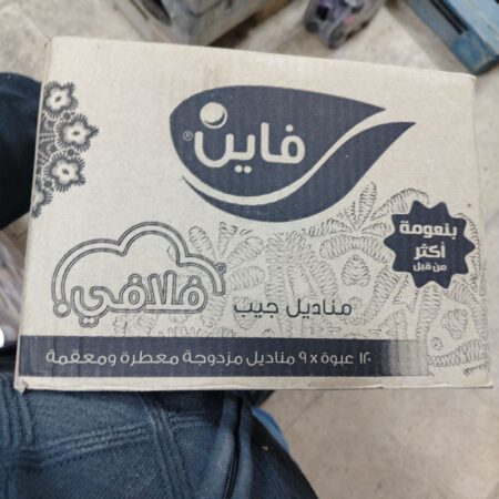 فاين جيب كرتونه